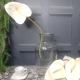 Real Touch Artificial Anthurium Cream 74cm - A132 Q4