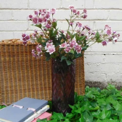 Artificial Astrantia Pink 50cm - A022 