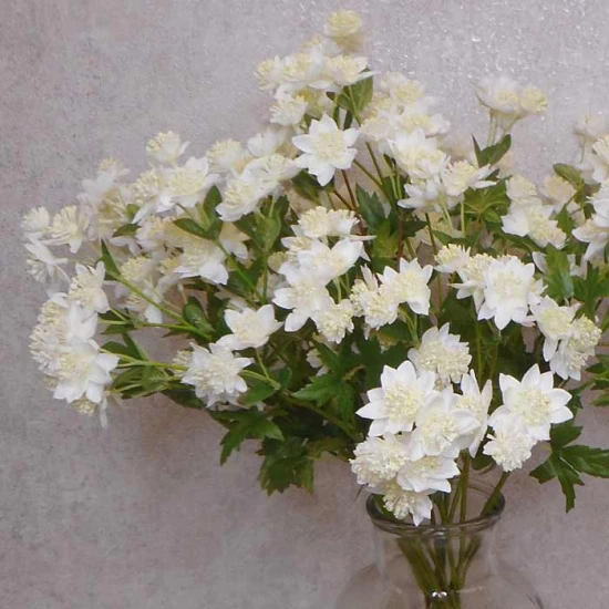 Artificial Astrantia White 65cm - A105 A2