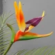 Artificial Birds of Paradise Small 60cm - B012