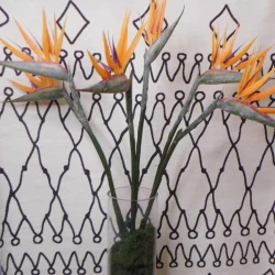 Artificial Birds of Paradise Large 75cm - B001 