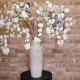 Weeping Cherry Blossom Branch White 123cm - B065 A1