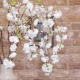 Weeping Cherry Blossom Branch White 123cm - B065 A1