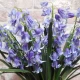 Artificial Bluebells Plant 35cm - B045 