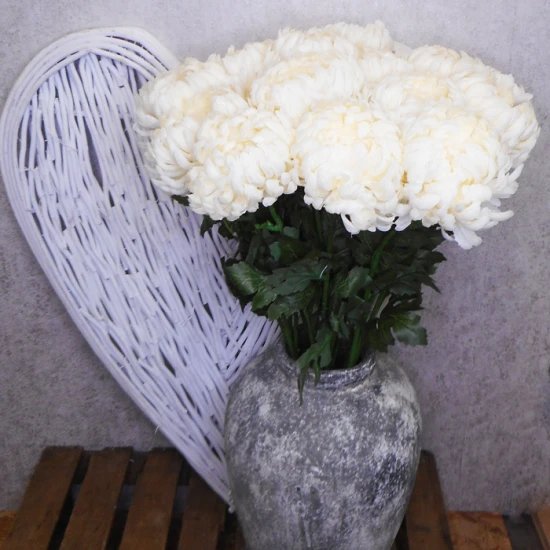 Artificial Bloom Chrysanthemums Cream 90cm - C181 D1