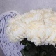 Artificial Bloom Chrysanthemums Cream 90cm - C181 D1
