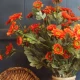 Artificial Spray Chrysanthemums Orange 69cm - G006 E4