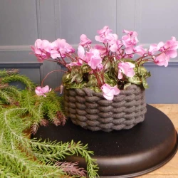 Silk Cyclamen Plants Pink 24cm - C014b 