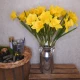 Large Yellow Silk Daffodil 65cm - D010 