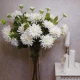 Artificial Dahlias Spray Creamy White 102cm - D200 CC3