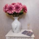 Harvest Moon Dahlias Dark Pink 67cm - D189 D1