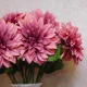 Harvest Moon Dahlias Dark Pink 67cm - D189 D1