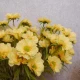 Artificial Daisy Stem Yellow 59cm - D052 C3