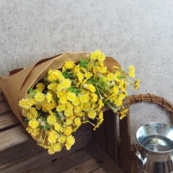 Mini Garden Daisies Stem Yellow 63cm - D079 DD3