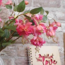 Silk Double Fuchsia Stem Pink 50cm - F025 H4