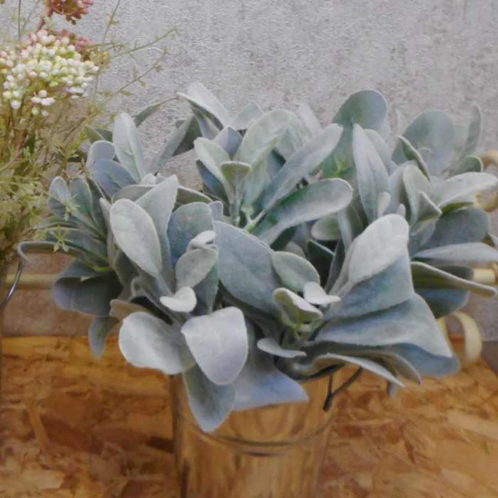 Artificial Lambs Ears Short Stem Grey Green - LAM006 I3