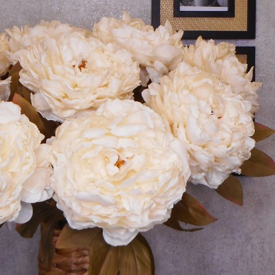 Antique Peony Cream | Faux Dried Flowers 76cm - P082 L4