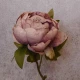 Antique Peony Vintage Mauve 48cm | Faux Dried Flowers - P046 J3