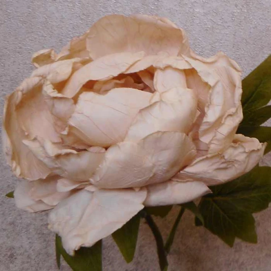 Antique Peony Vintage Oyster 48cm | Faux Dried Flowers - P041 K2