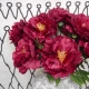 Artificial Peony Wine - X19009 F4