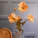 Silk Poppies Amber 70cm - P003 K2