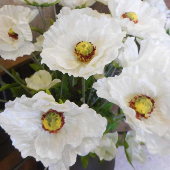 Wild Poppies White 70cm - P013 M3