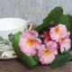 Artificial Primula Plants Pink 22cm - P024 II2