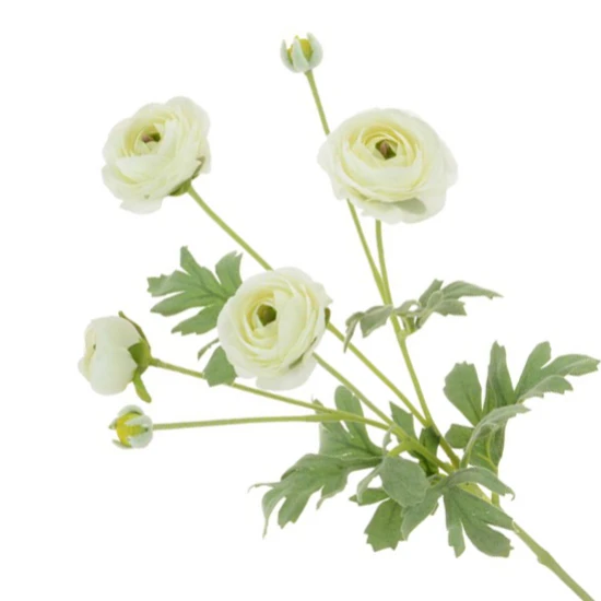 Faux Ranunculus Spray Cream 67cm - R206 