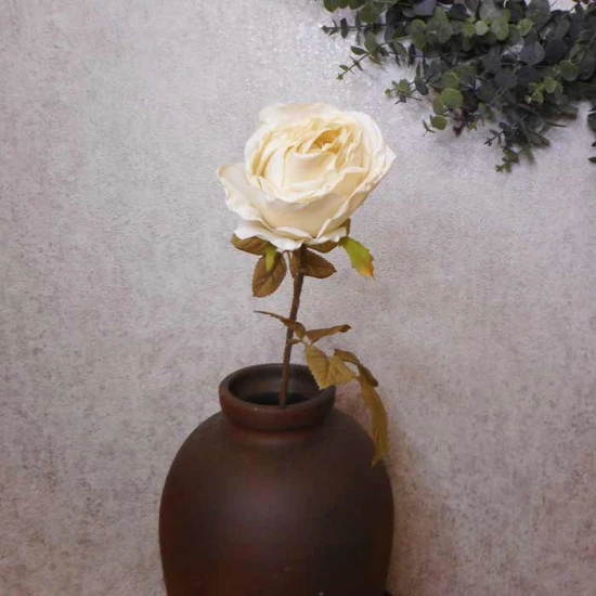 Antique Rose Cream 68cm | Faux Dried Flowers - R230 S2