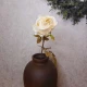 Antique Rose Cream 68cm | Faux Dried Flowers - R230 S2