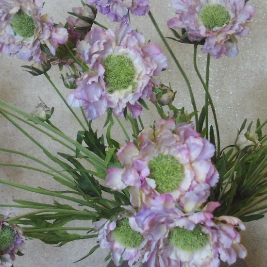 Silk Scabious Flowers Lilac 64cm | Artificial Scabiosa - S059 U4