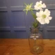 Silk Scabious Flowers White 72cm | Artificial Scabiosa - S110A 