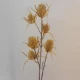 Artificial Teasels Caramel 65cm - TEA001 BX22
