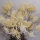 Artificial Teasels Cream 65cm - TEA002 O3
