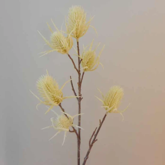 Artificial Teasels Cream 65cm - TEA002 O3