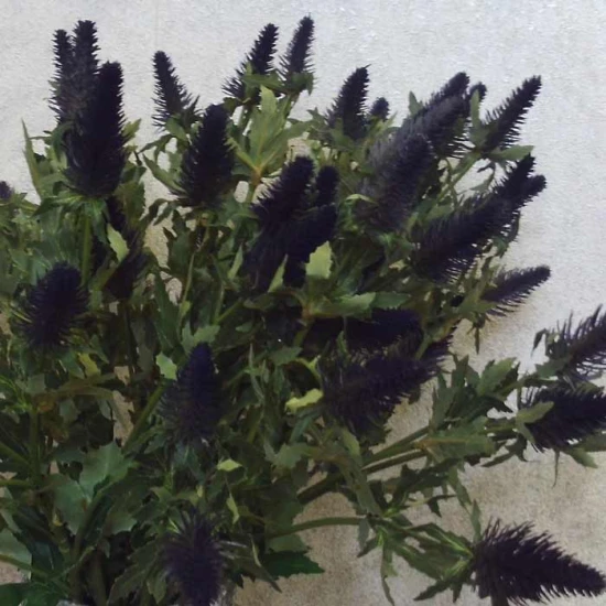 Artificial Eryngium Thistles Sea Holly Purple 78cm - T027 T2