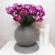 Artificial Bicolour Tulips Bundle Purple 40cm - T017 Q3