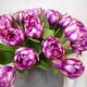 Artificial Bicolour Tulips Bundle Purple 40cm - T017 Q3