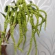 Artificial Amaranthus Green - AMA007 