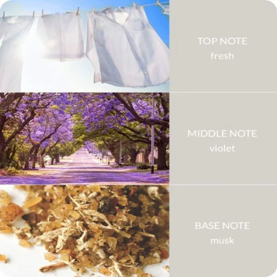 Heart and Home Reed Diffusers Fresh Linen - HH104