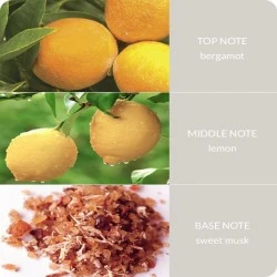 Heart and Home Reed Diffusers Guardian Angel - HH105