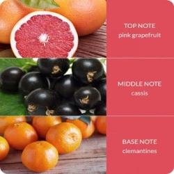 Heart and Home Fragranced Wax Melts Pink Grapefruit & Cassis - HH089 1A