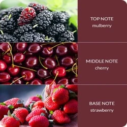 Heart and Home Ellipse Twin Wick Candle Simply Mulberry 230g - HH030