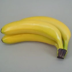 Artificial Bananas - BAN500 II3