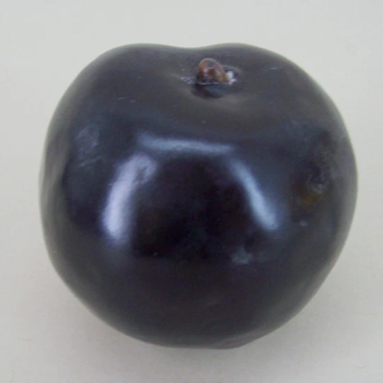 Artificial Plums - PLU500 JJ3