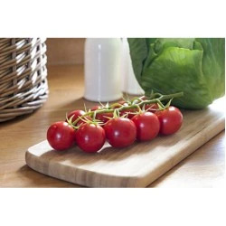 Artificial Cherry Tomatoes on Vine Red - TOM505 JJ3