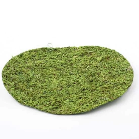 Moss Sheet Round Green 25cm - MOS014 BX10
