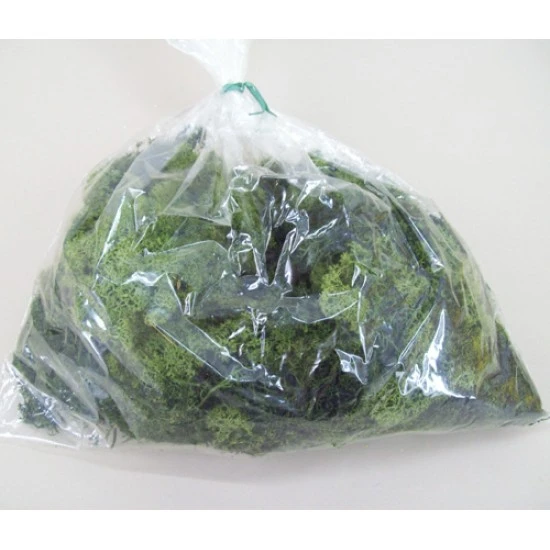 Reindeer Moss Mid Green - MOS002 N4