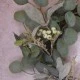 Artificial Eucalyptus Lambs Ear and Berries Wreath 50cm - EUC005 