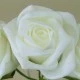 Colourfast Cottage Foam Roses Bundle Ivory 6 Pack 24cm - R295 T4
